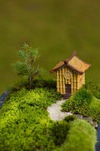 Japanese hut Miniature Japanese hut set in a moss dish garden