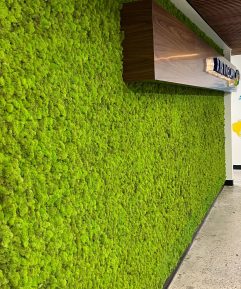 Moss Walls