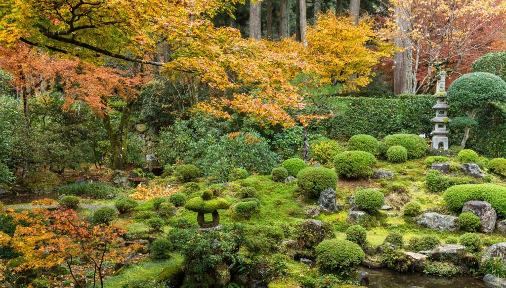 Moss garden design