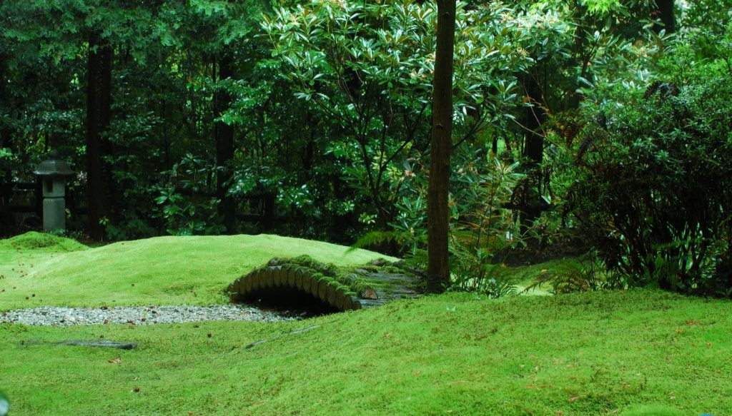 a moss lawn with a bridge