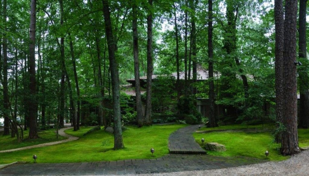 A moss lawn in a forest in with a house