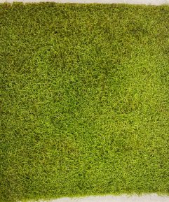 Live Moss Mats